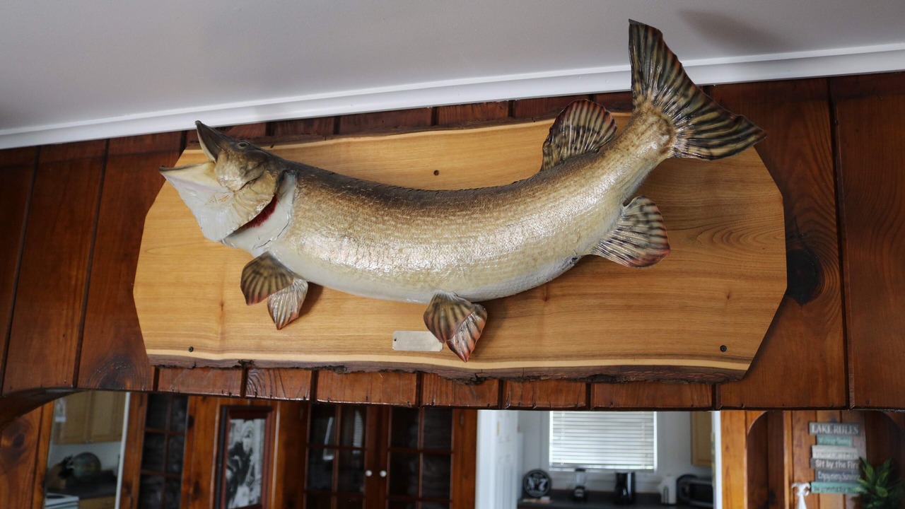 Photo of Others in Fox Lake