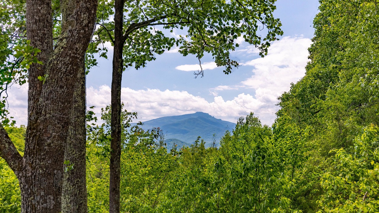 Photo of Others in Boone