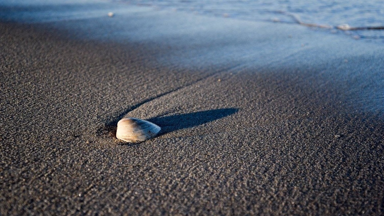 Photo of Others in Ocean Beach III