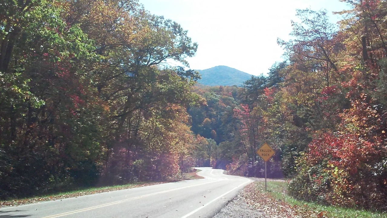 Photo of Others in Shady Valley
