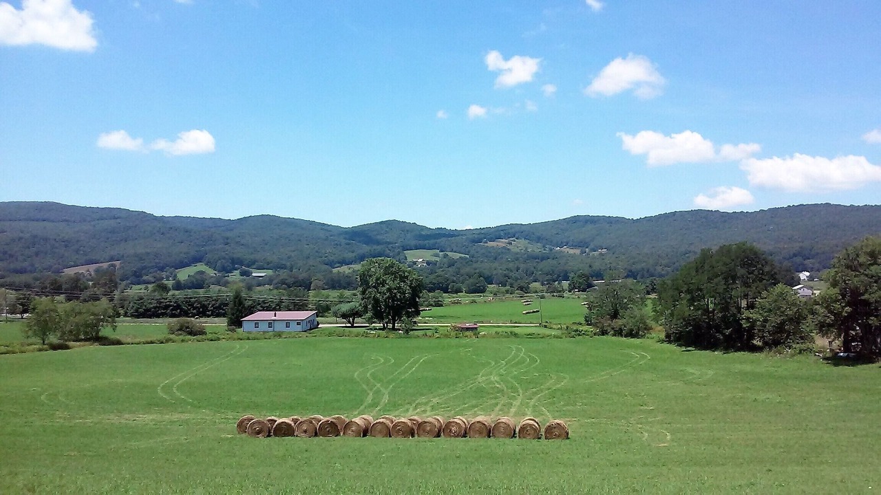 Photo of Others in Shady Valley
