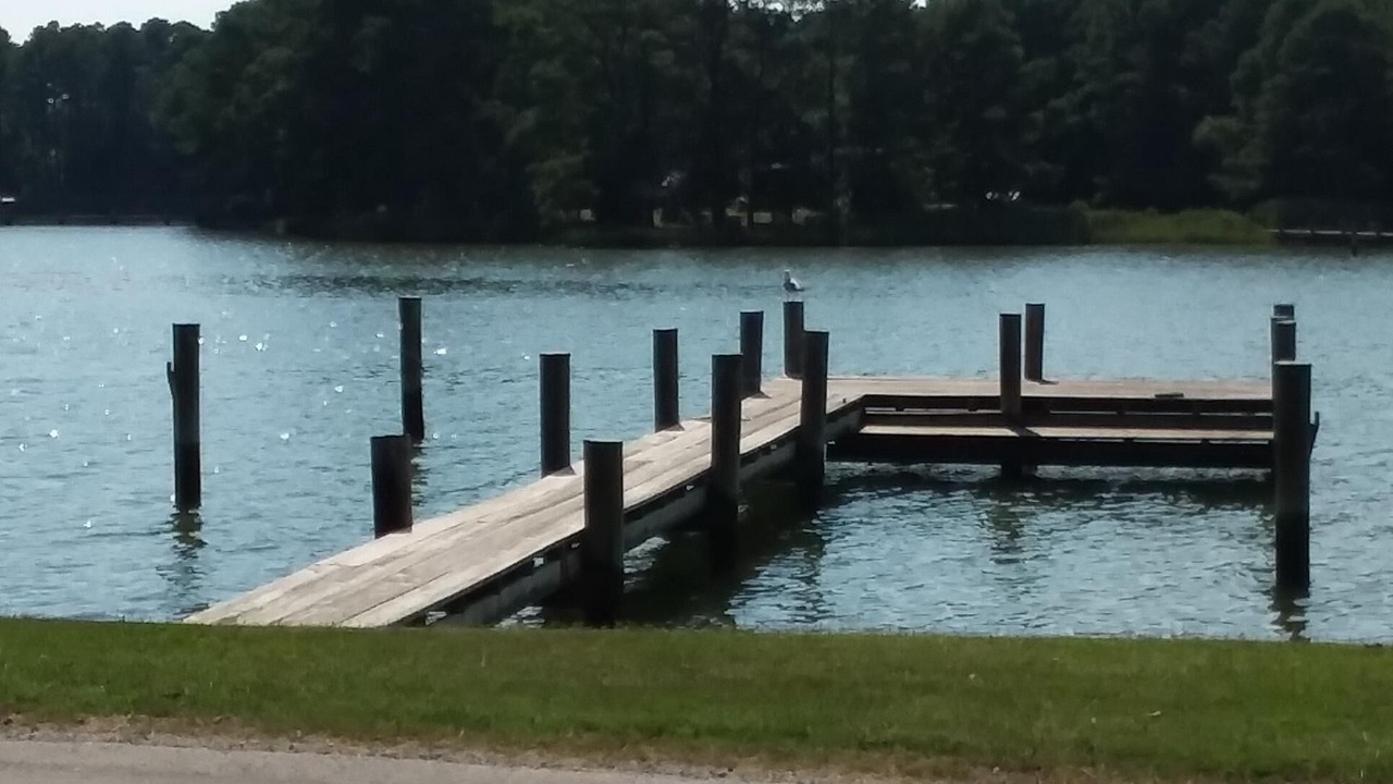 Photo of Outdoor in Wittman