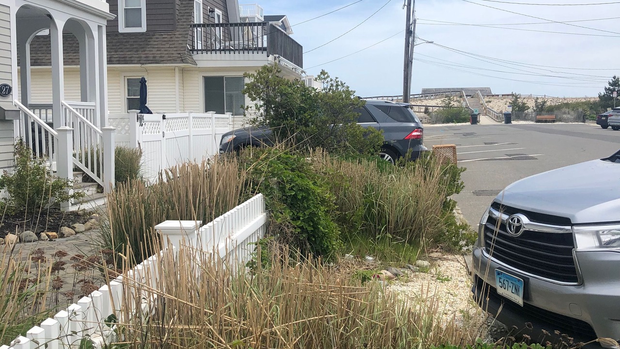 Photo of Others in Beach Haven