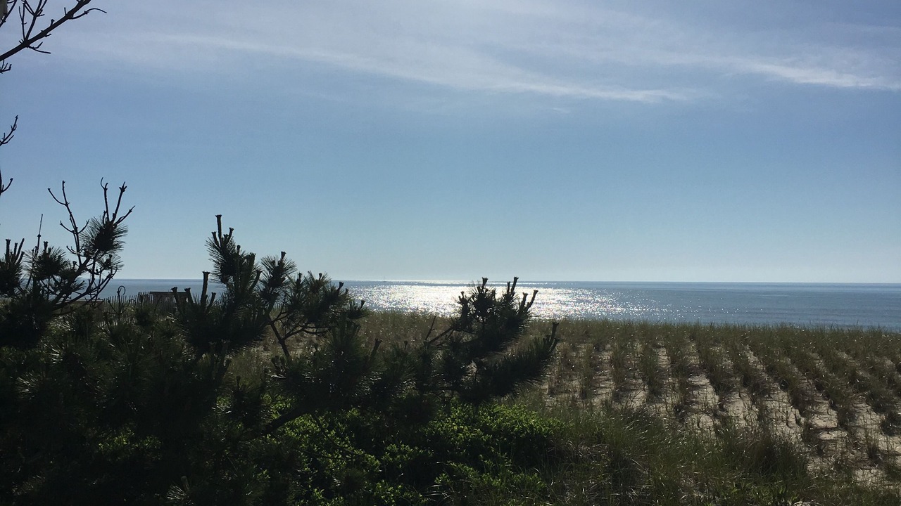 Photo of Others in North Beach Haven