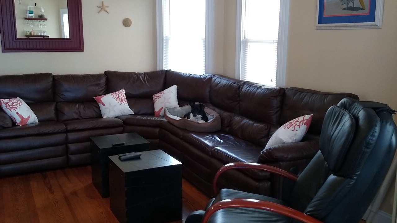 Photo of Livingroom in North End
