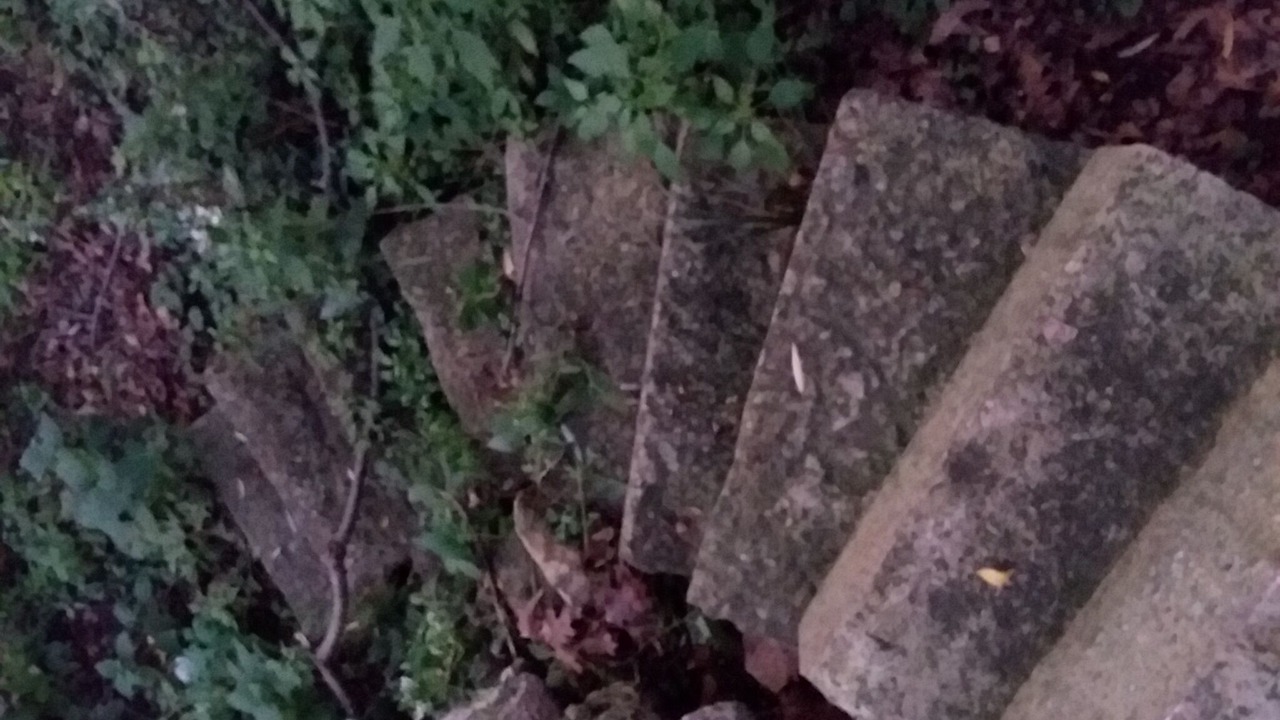 Photo of Others in Shell Rock