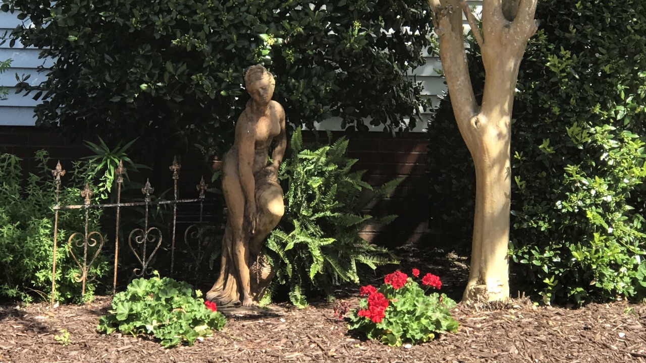 Photo of Outdoor in Edenton