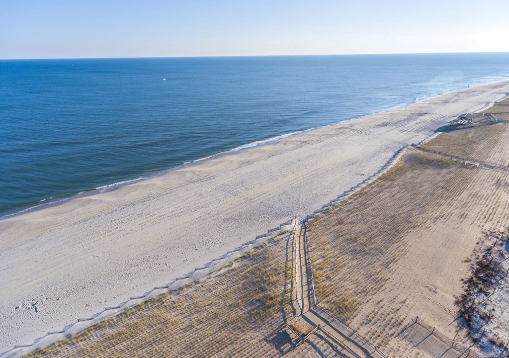 Photo of Others in Beach Haven