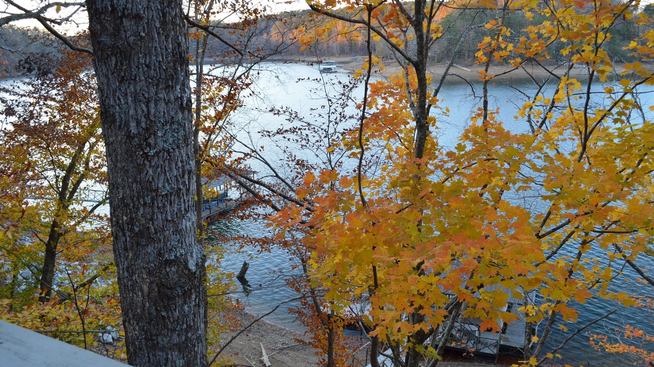 Photo of Outdoor in Crane Hill