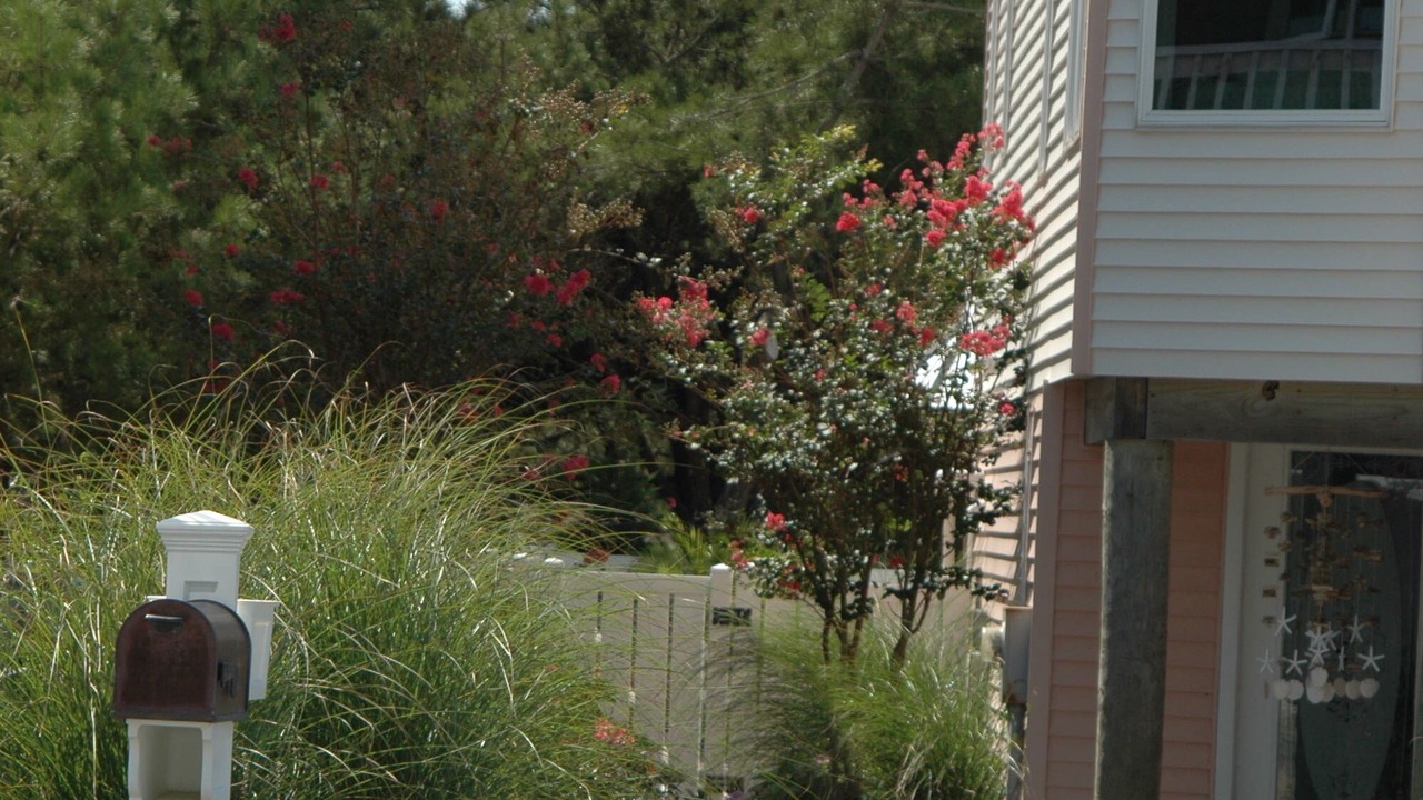 Photo of Outdoor in Harvey Cedars