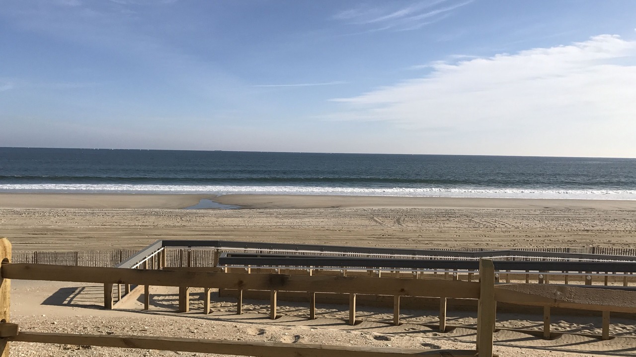 Photo of Others in Beach Haven
