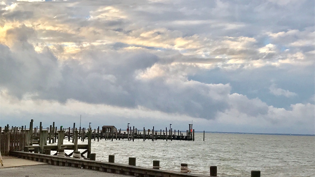 Photo of Others in Beach Haven