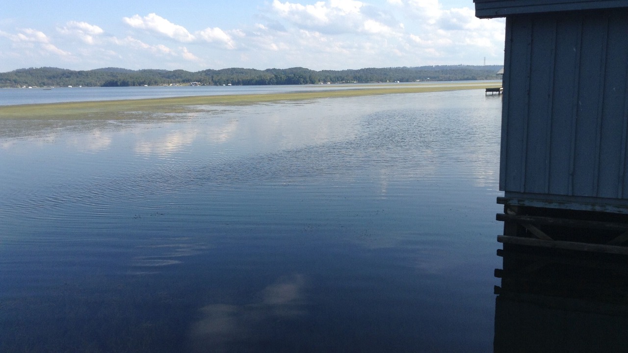 Photo of Others in Guntersville