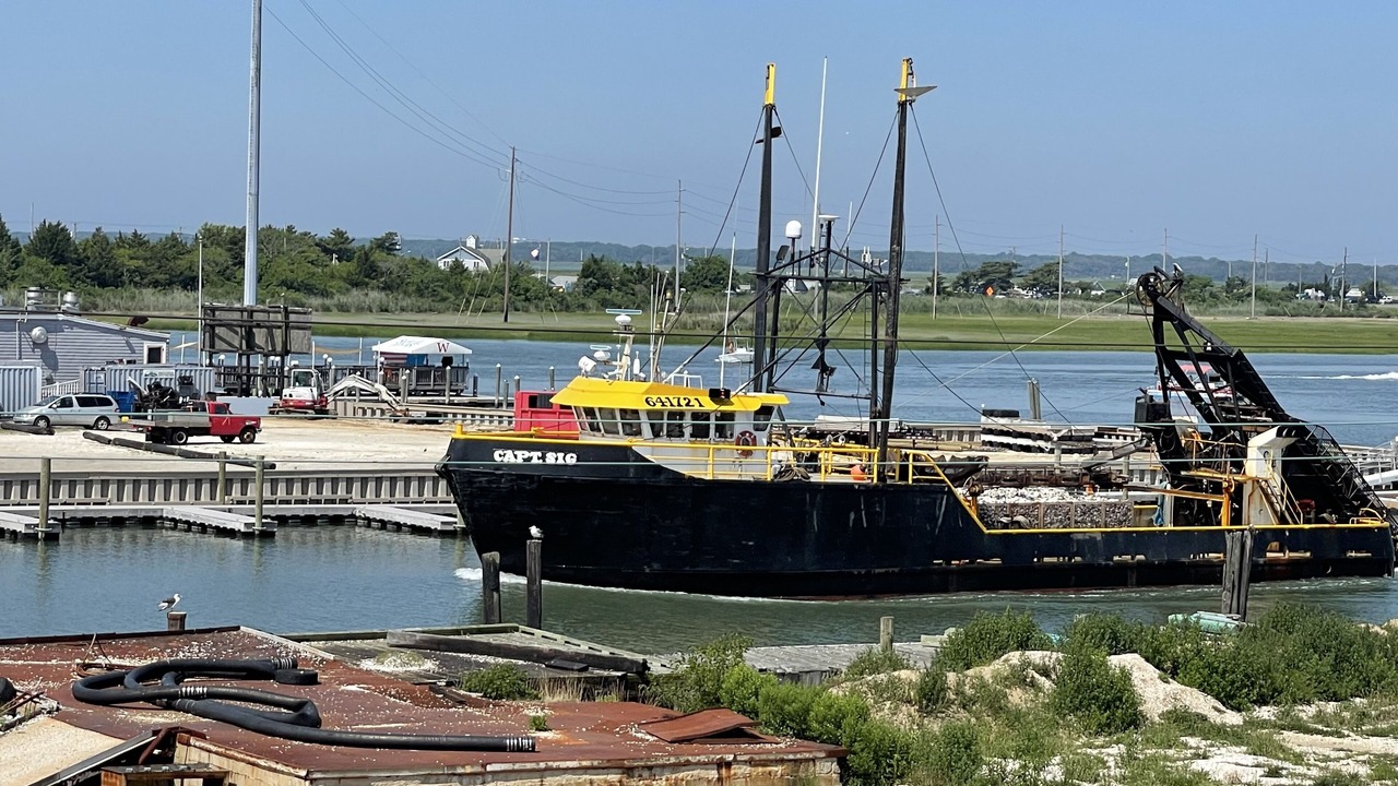 Photo of Outdoor in Wildwood