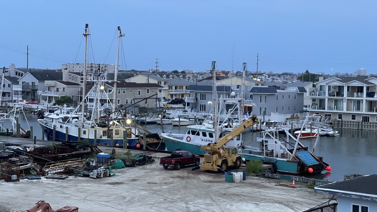 Photo of Others in Wildwood