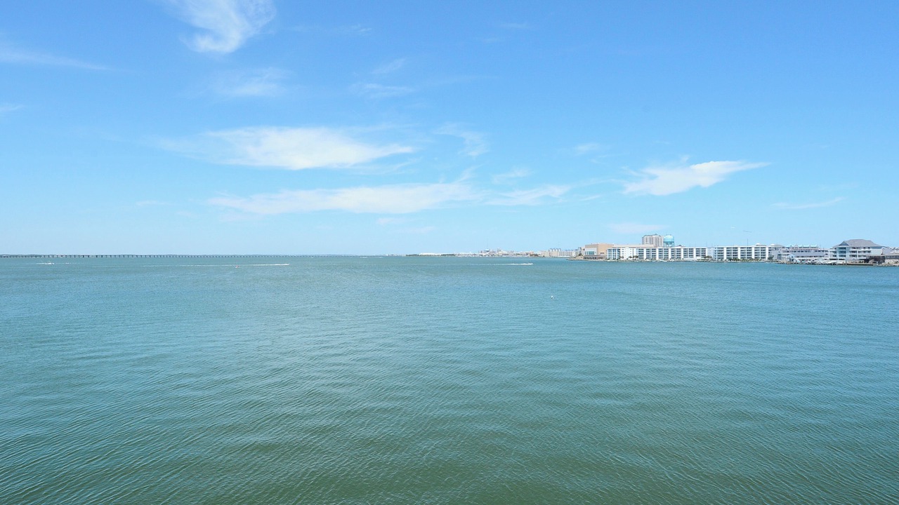 Photo of Others in Midtown Ocean City