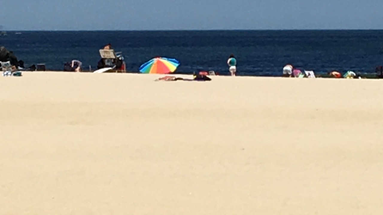 Photo of Others in Point Pleasant Beach