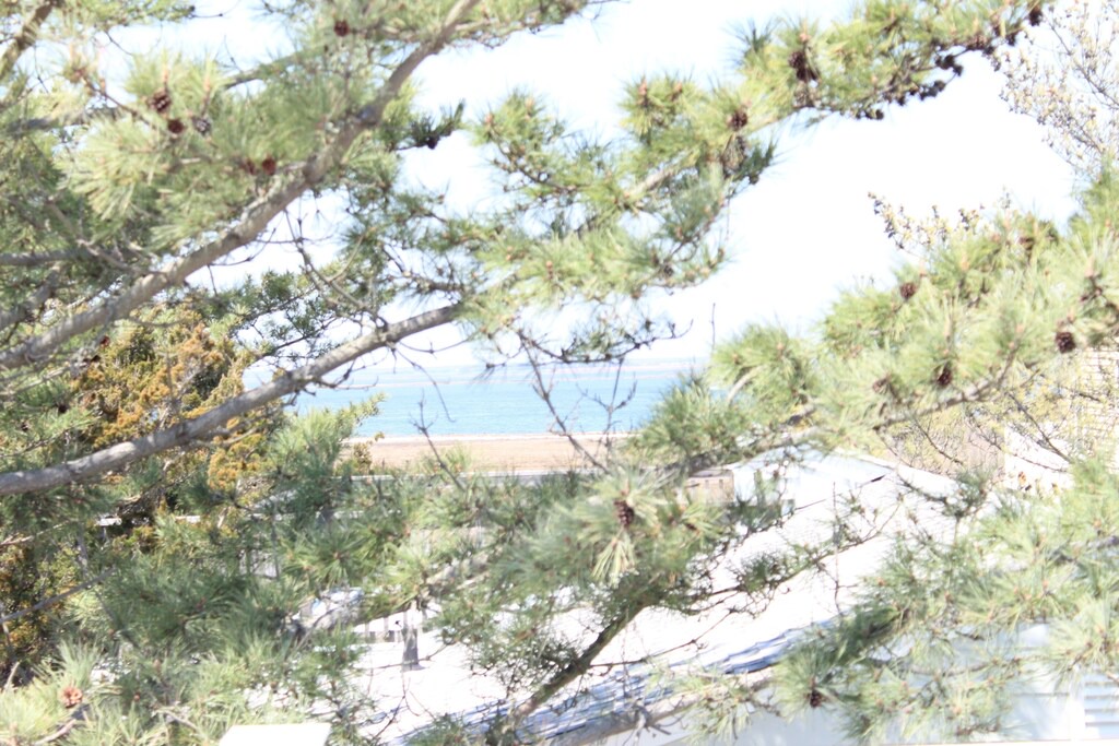 Photo of Outdoor in Holgate