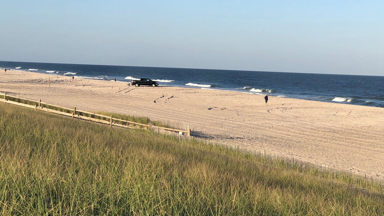 Photo of Others in Lavallette