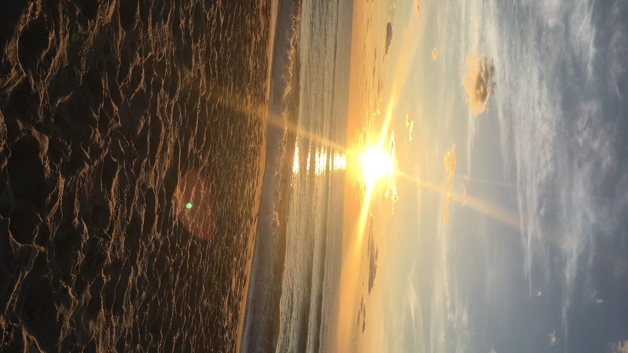 Photo of Others in Surf City