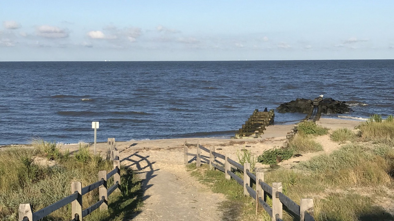 Photo of Others in North Cape May