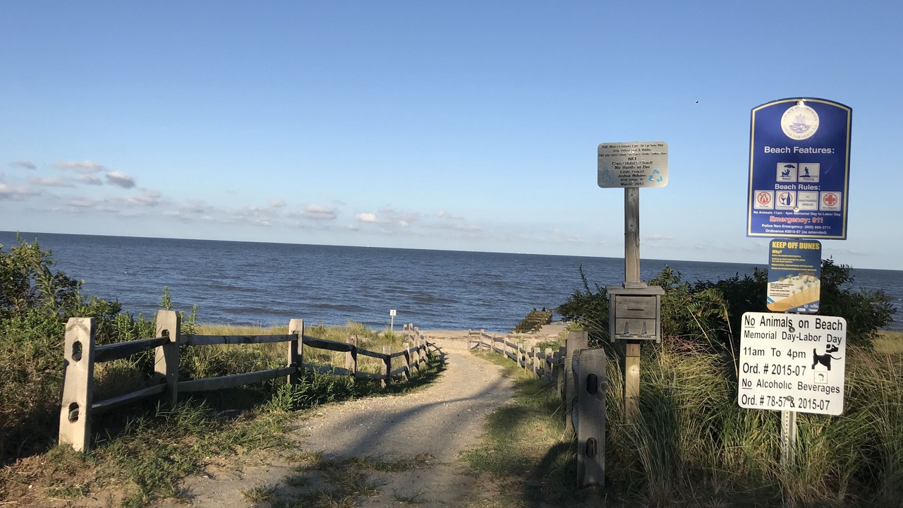 Photo of Others in North Cape May