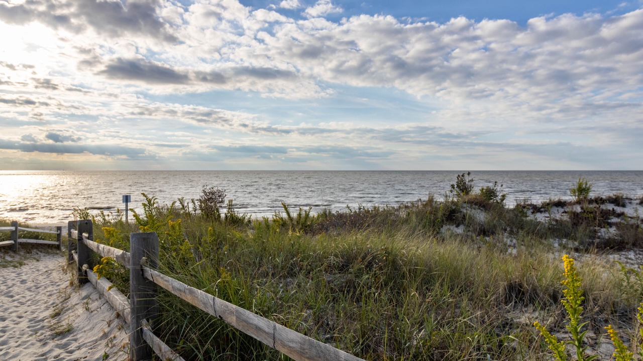 Photo of Others in North Cape May