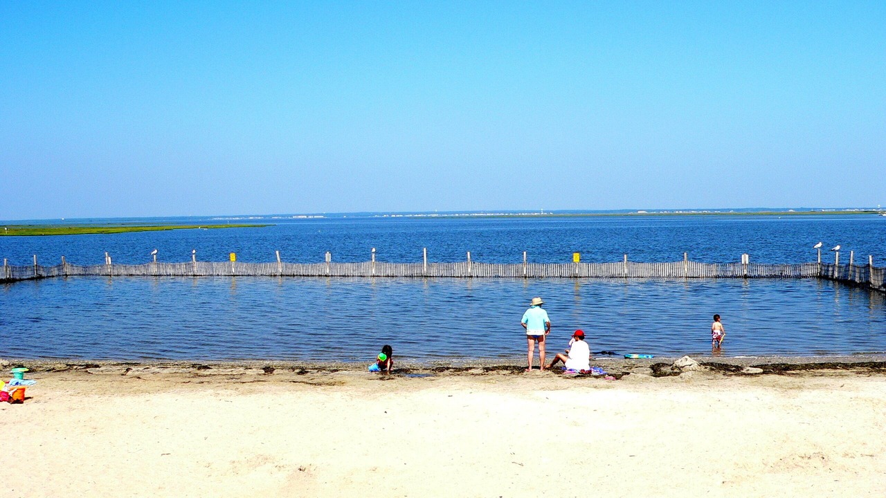 Photo of Others in Beach Haven