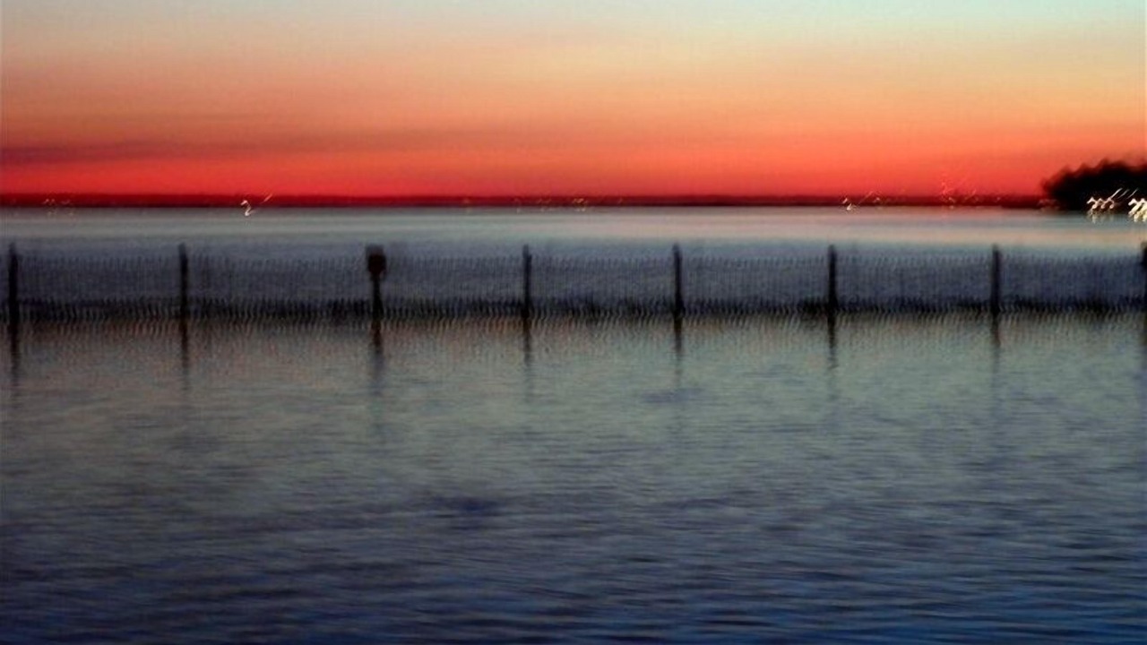 Photo of Others in Beach Haven