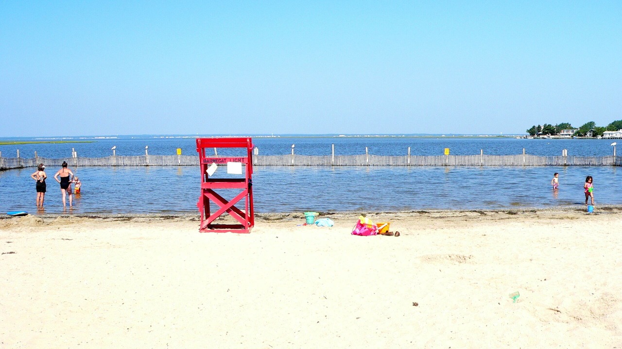 Photo of Others in Beach Haven