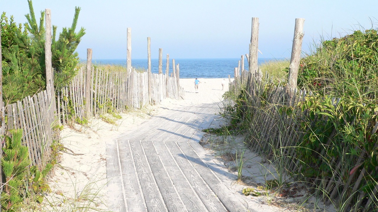 Photo of Others in Beach Haven