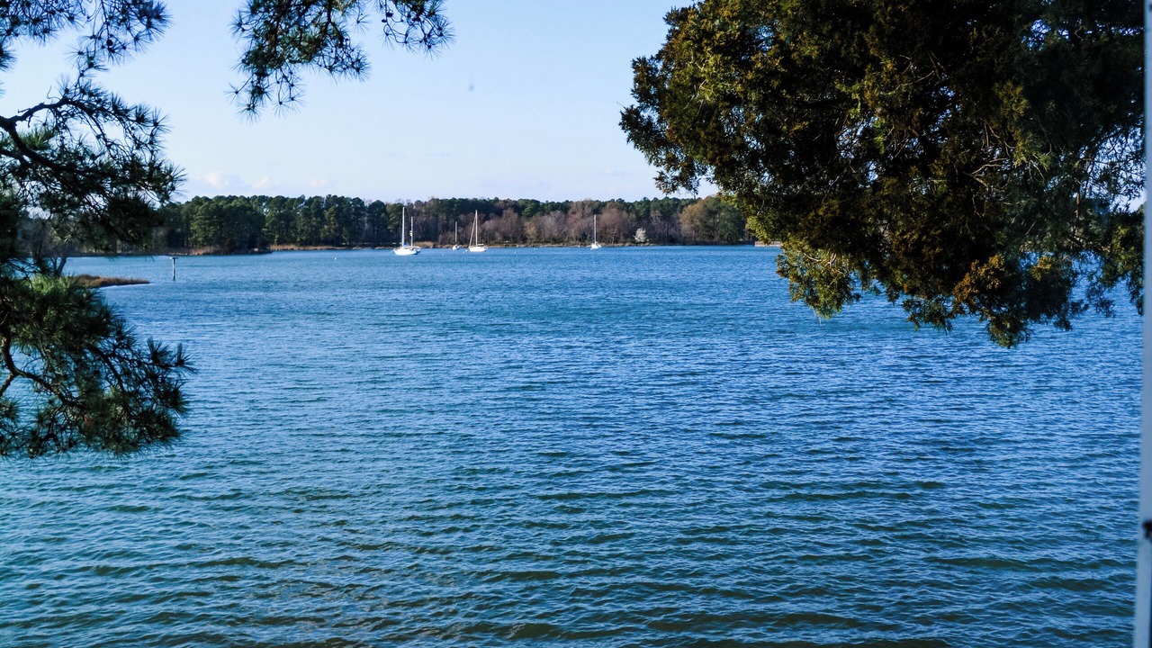 Photo of Outdoor in Neavitt
