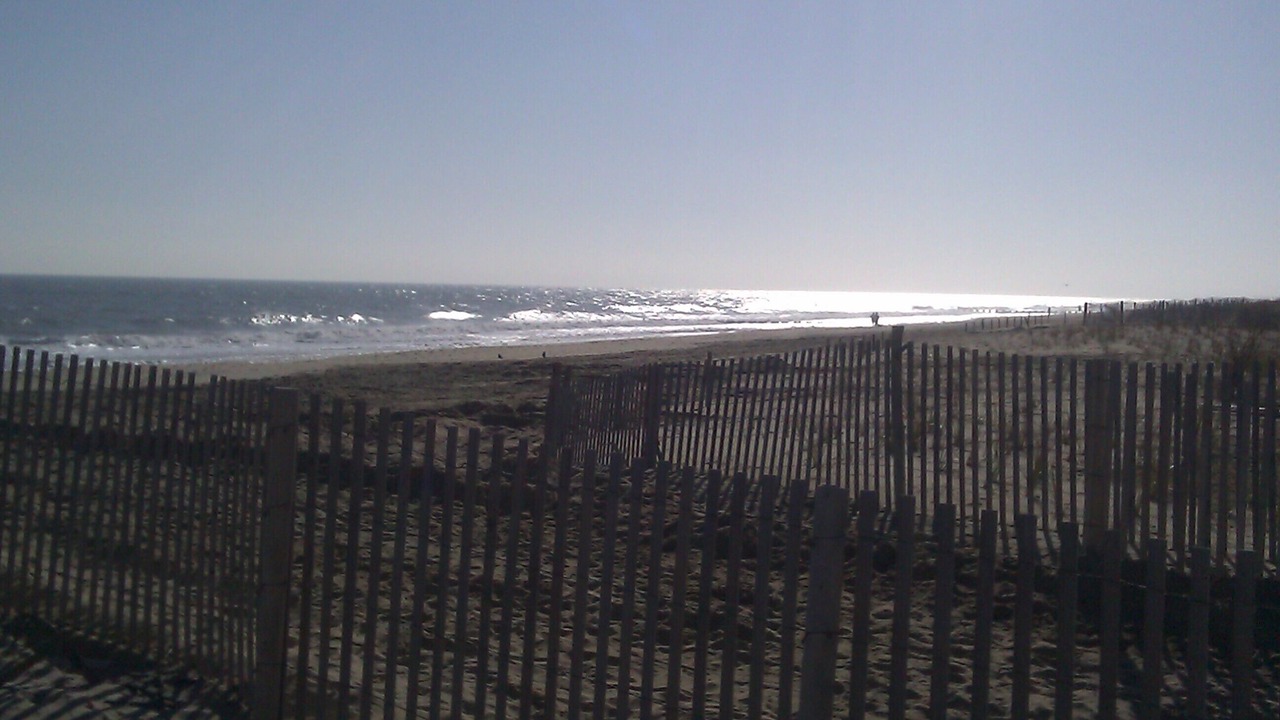 Photo of Others in Seabreeze