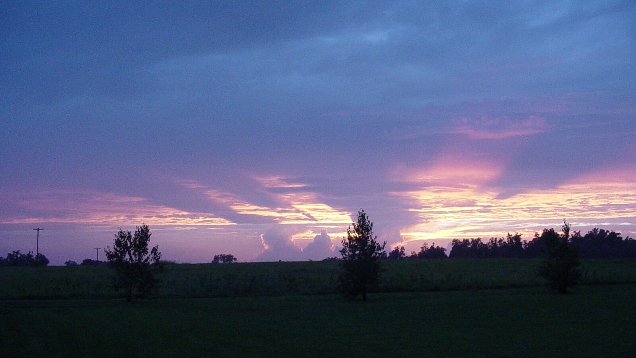 Photo of Others in Bynum