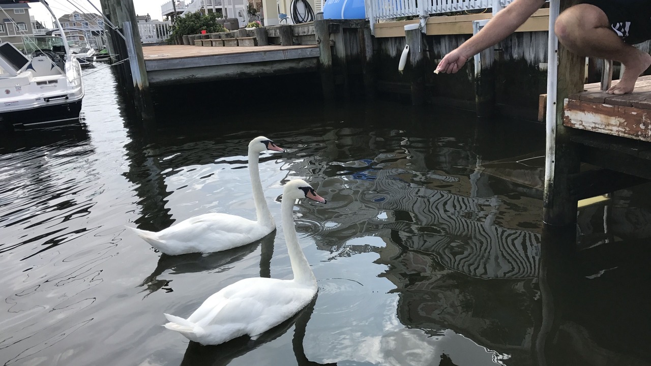 Photo of Outdoor in Beach Haven West