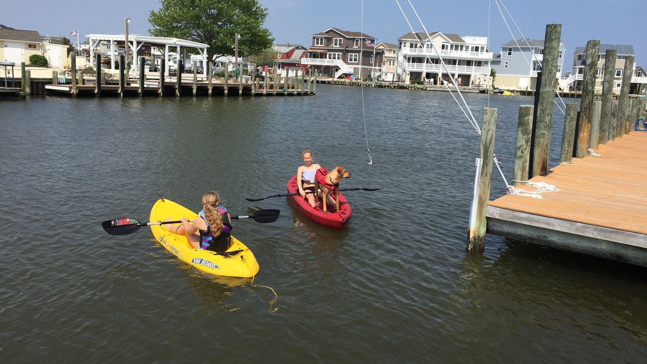 Photo of Others in Beach Haven West