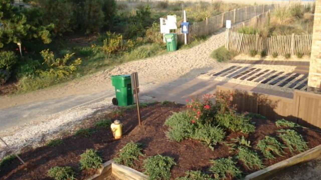 Photo of Outdoor in Rehoboth by the Sea