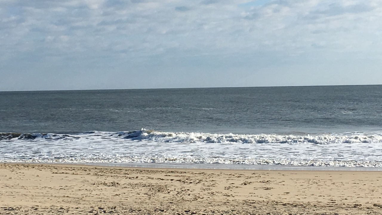 Photo of Others in Bethany Beach