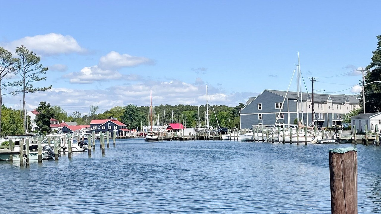 Photo of Others in St. Michaels
