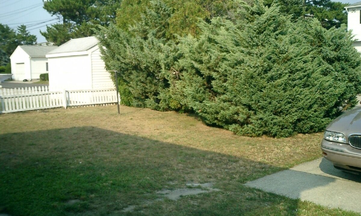 Photo of Others in South End