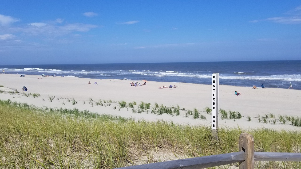 Photo of Others in South Beach Haven