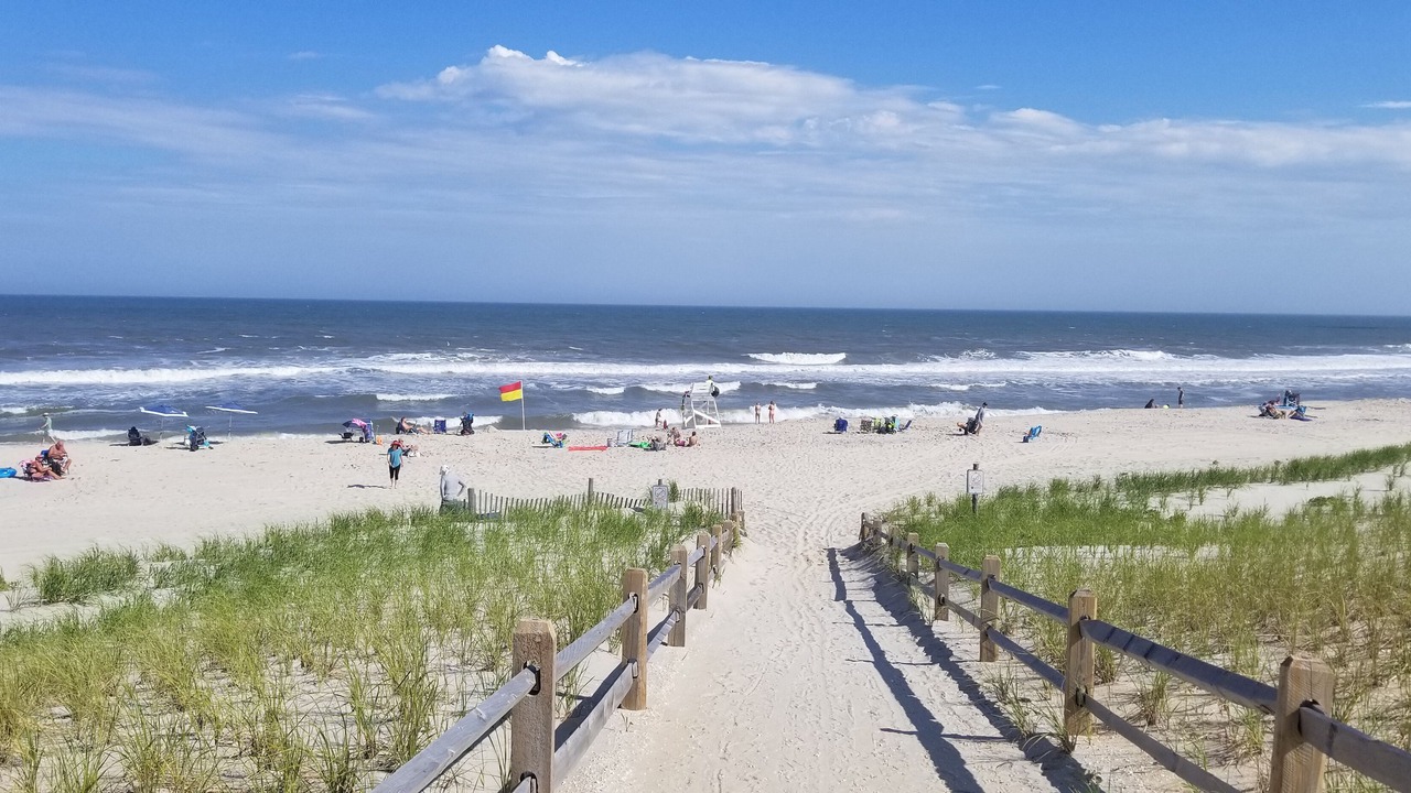 Photo of Others in South Beach Haven