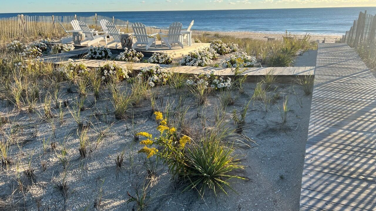 Photo of Others in Point Pleasant Beach