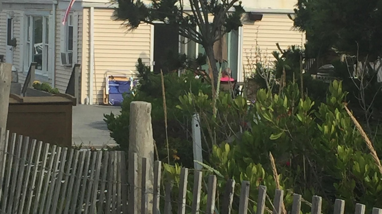 Photo of Outdoor in North Beach Haven