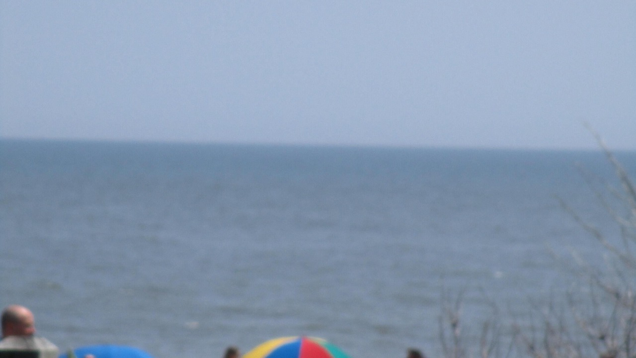 Photo of Others in Rehoboth Beach