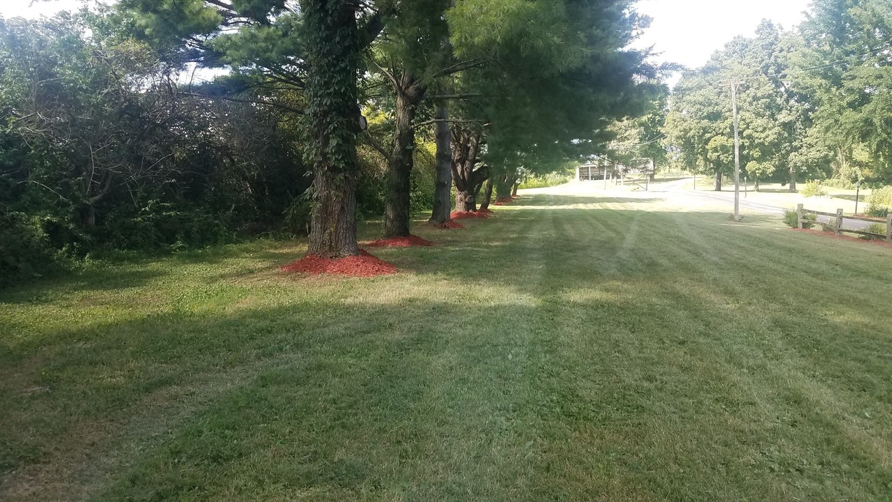Photo of Outdoor in Galt