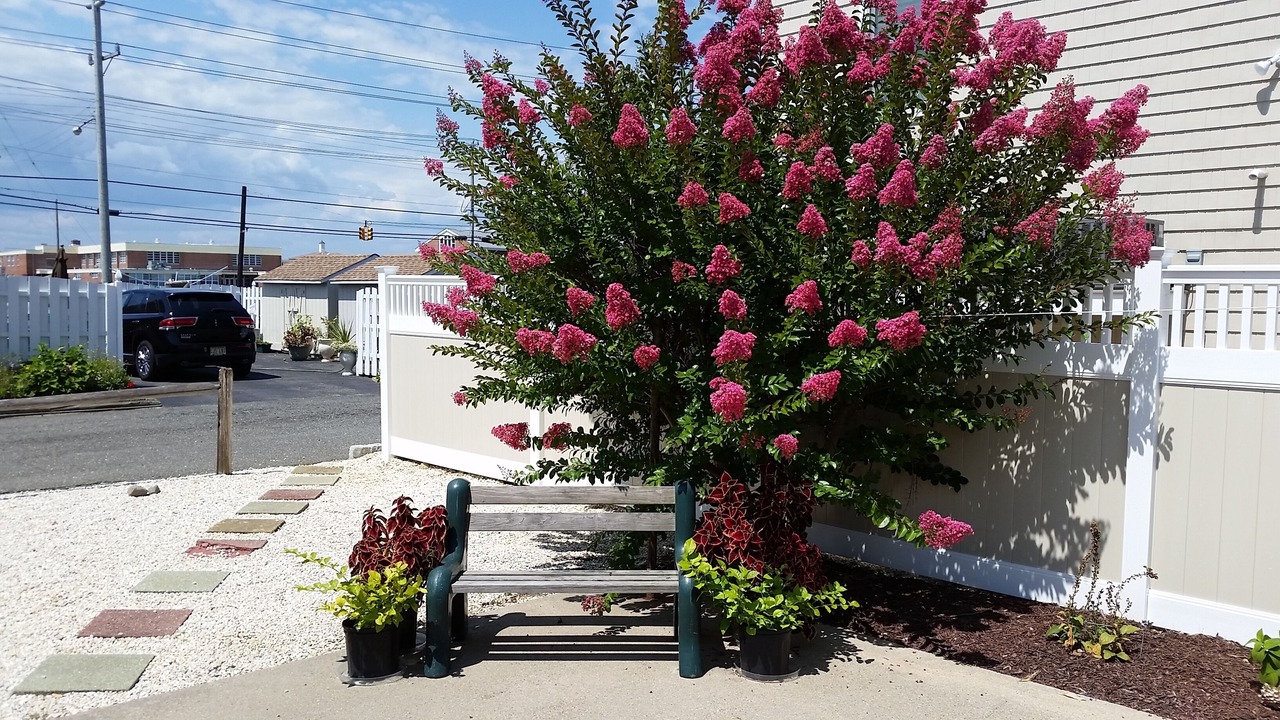 Photo of Outdoor in North Beach Haven