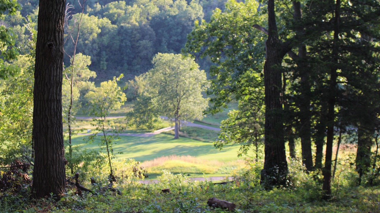 Photo of Others in The Galena Territory