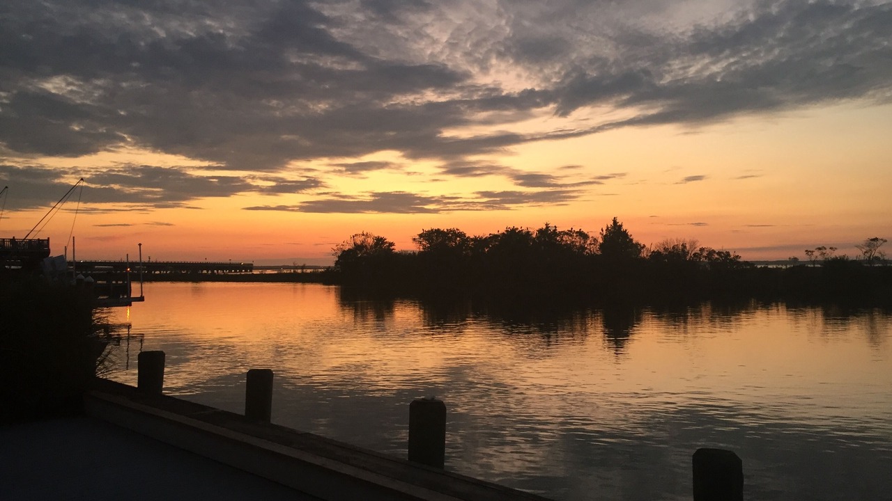 Photo of Others in Chincoteague
