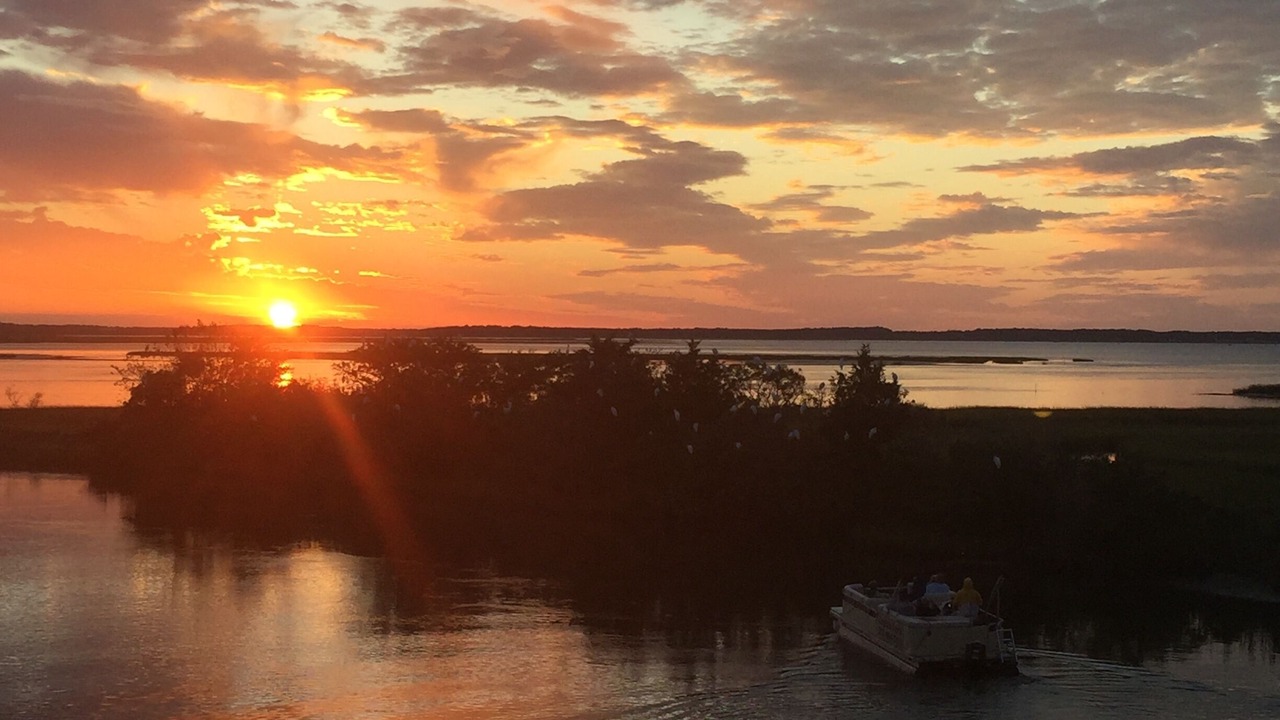 Photo of Others in Chincoteague